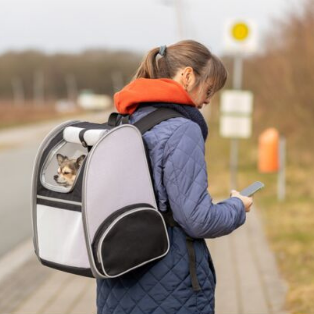 Trixie Hunde Rucksack Chloe