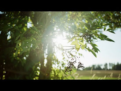 Natuurlijke verzorging van Biokat