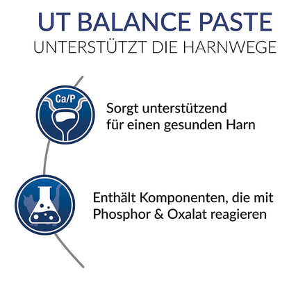 GimCat UT Balance Paste 50 g - Infografik:  UT Balance Paste unterstützt die Harnwege - Sorgt unterstützend für einen gesunden Harn - Enthält Komponenten, die mit Phosphor & Oxalat reagieren - petrado.de